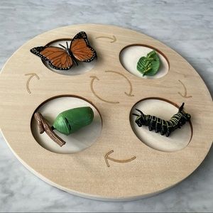 Montessori butterfly life cycle toy